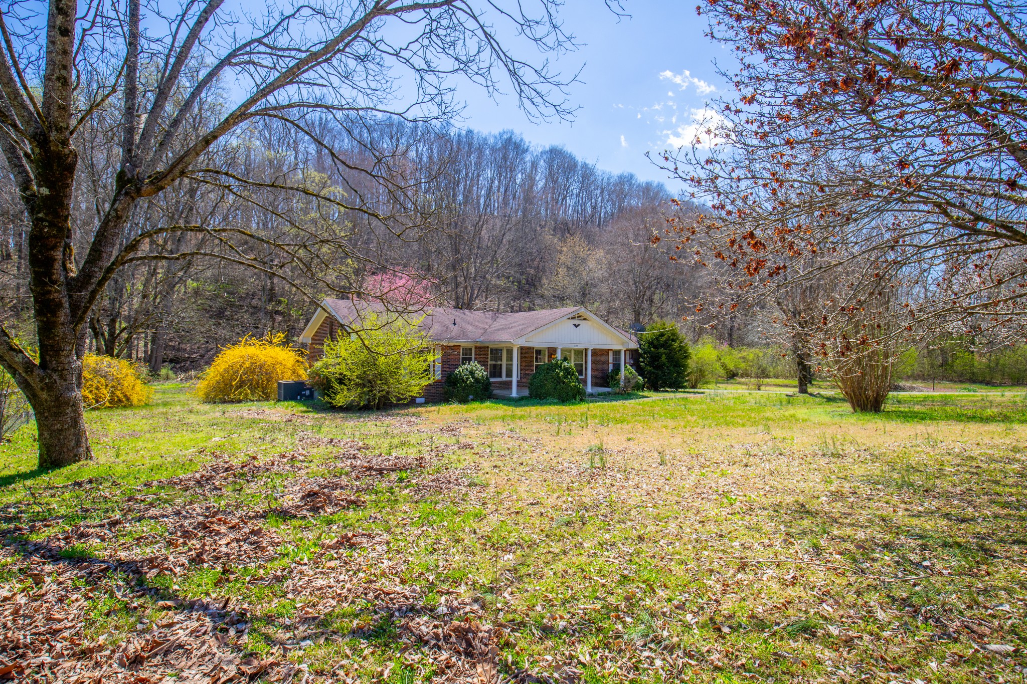 8369 Cub Creek Rd Property Photo 1
