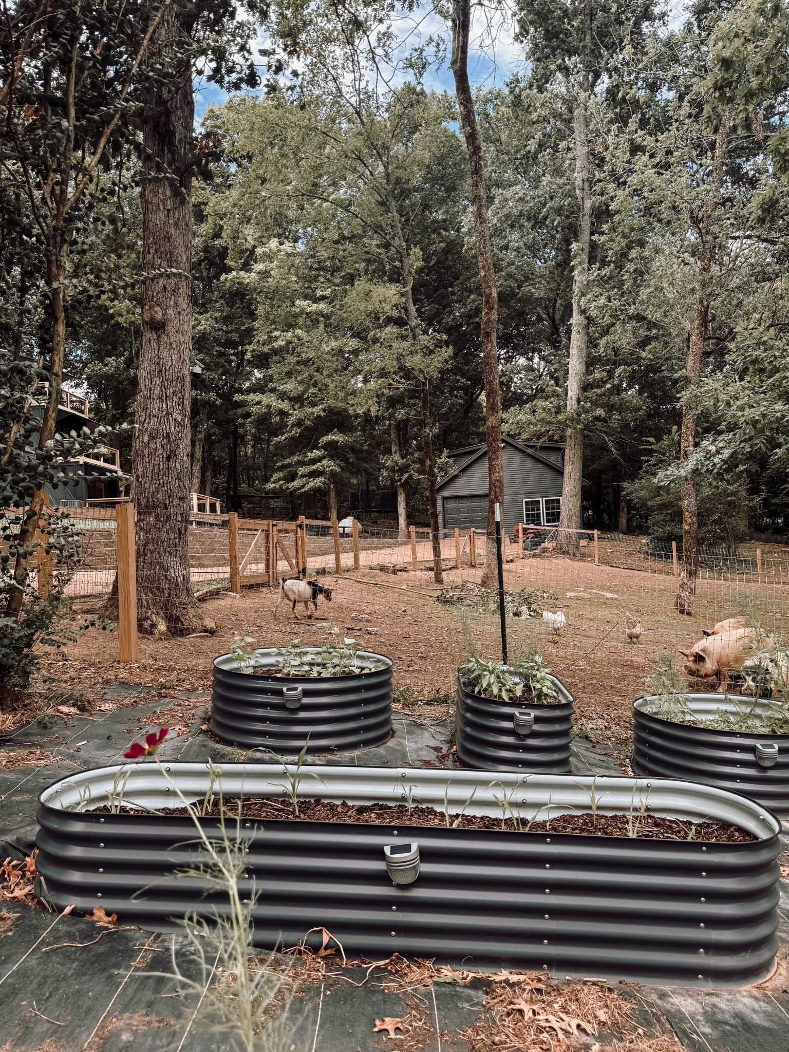 2235 Rock Springs Rd Property Photo 41