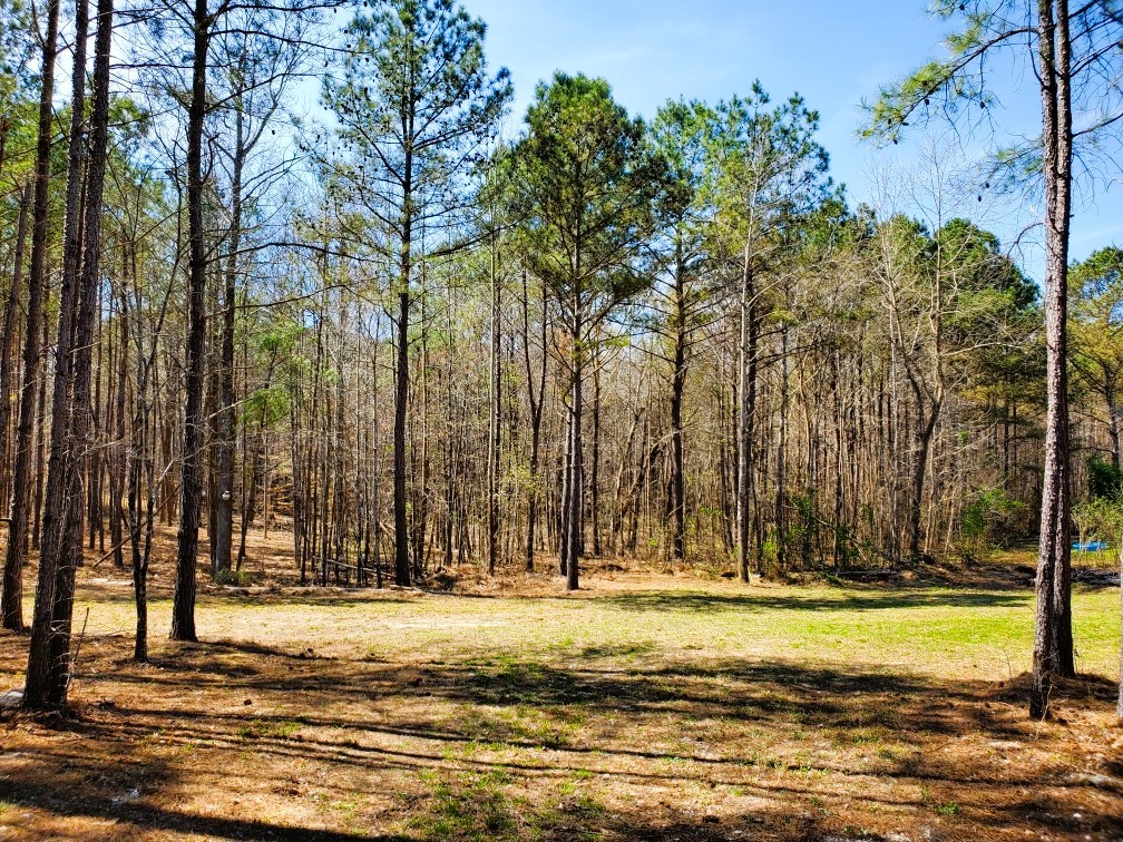 470 Hagler Ridge Rd Property Photo