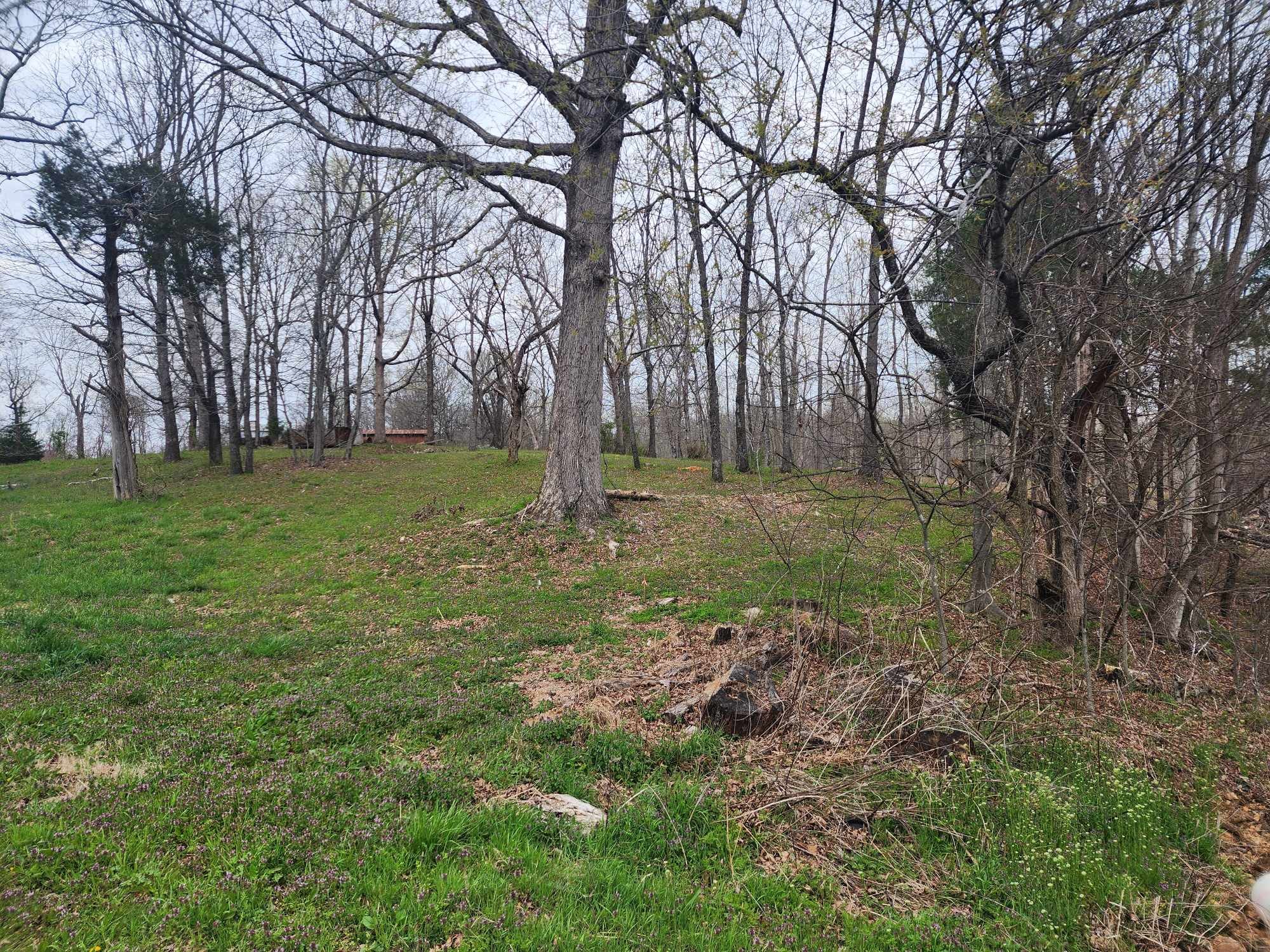 0 Gossett Rd Property Photo 1