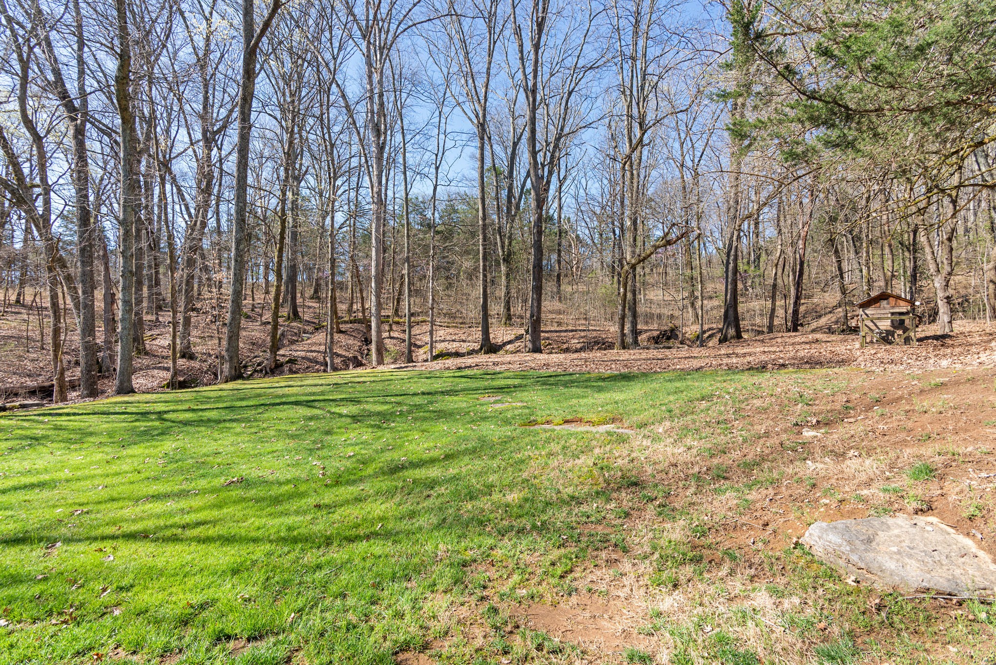 12112 Paw Paw Springs Rd Property Photo 51