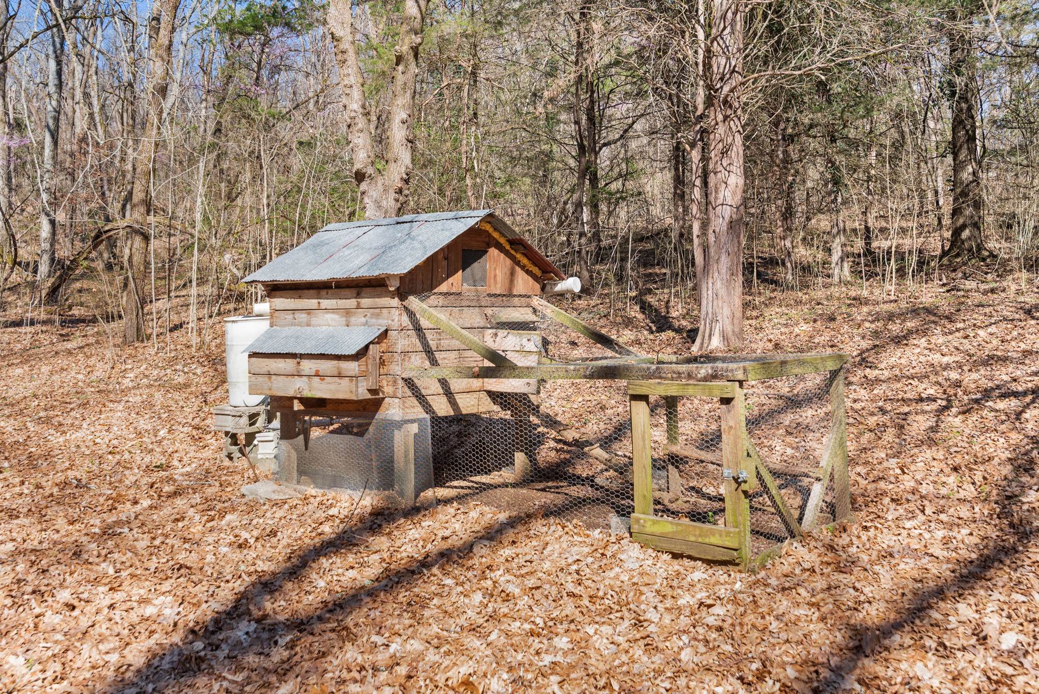 12112 Paw Paw Springs Rd Property Photo 52