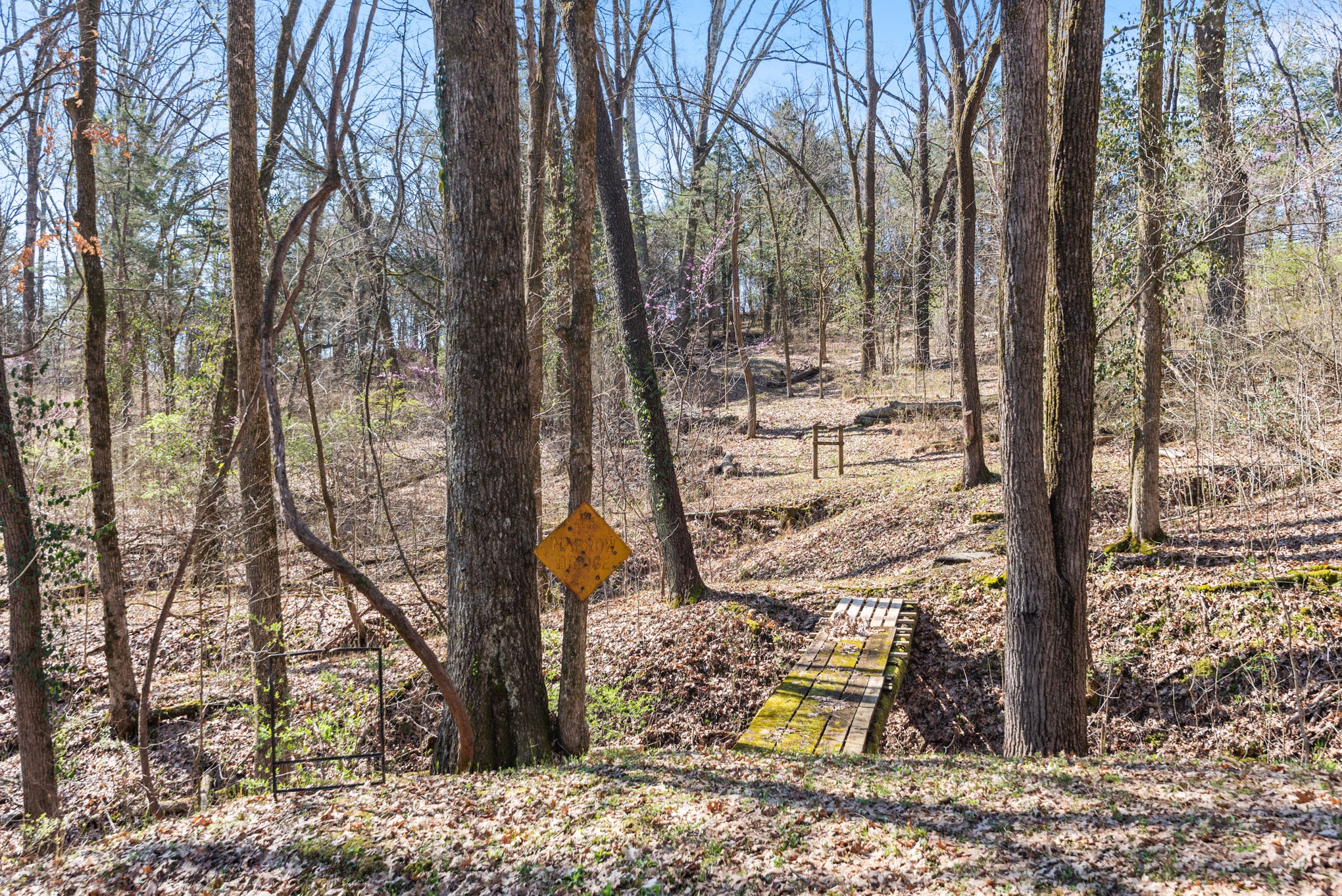 12112 Paw Paw Springs Rd Property Photo 55