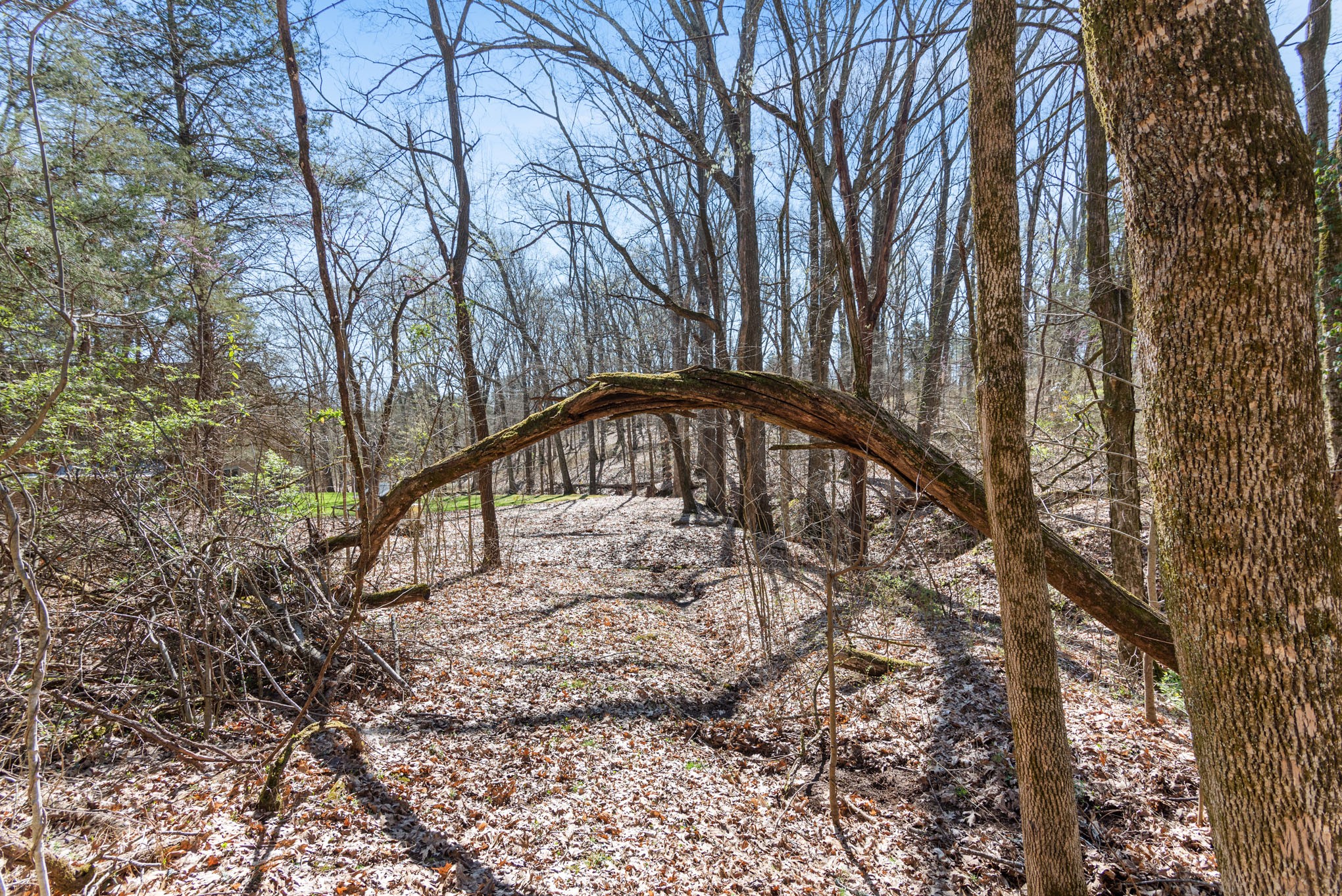 12112 Paw Paw Springs Rd Property Photo 56