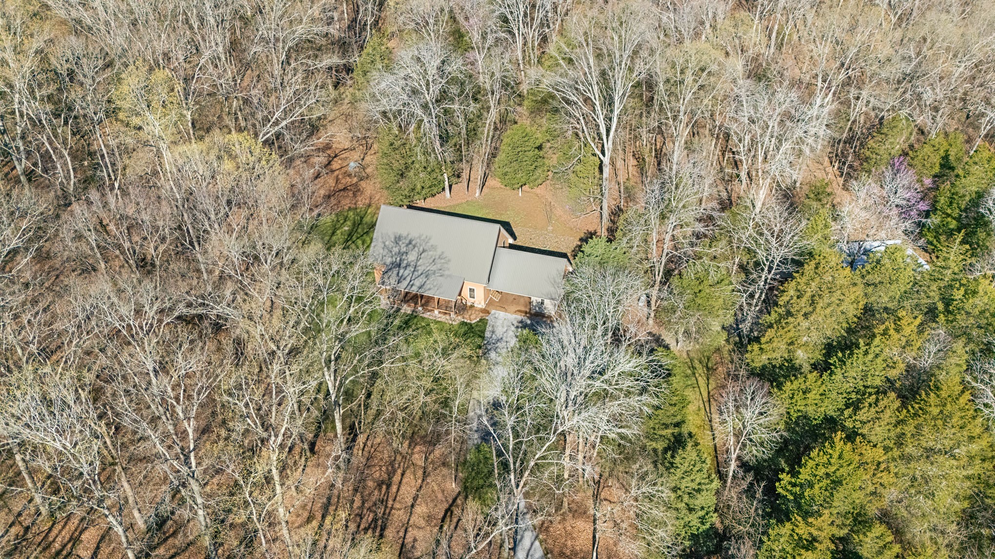 12112 Paw Paw Springs Rd Property Photo 59