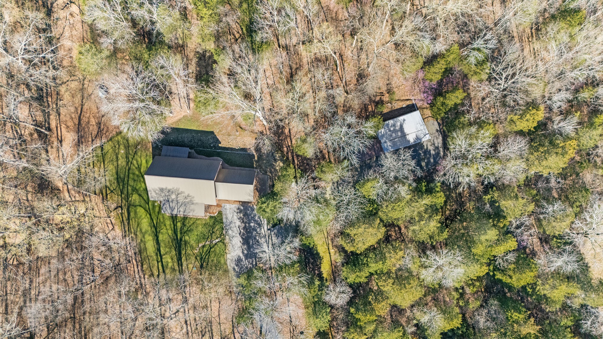 12112 Paw Paw Springs Rd Property Photo 60