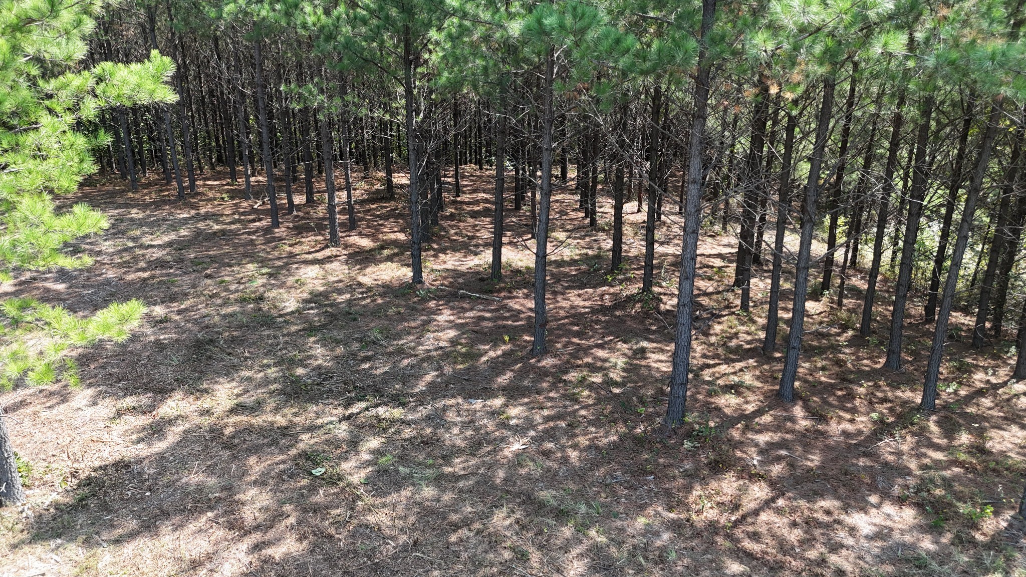 3722 Old Hohenwald Rd Property Photo