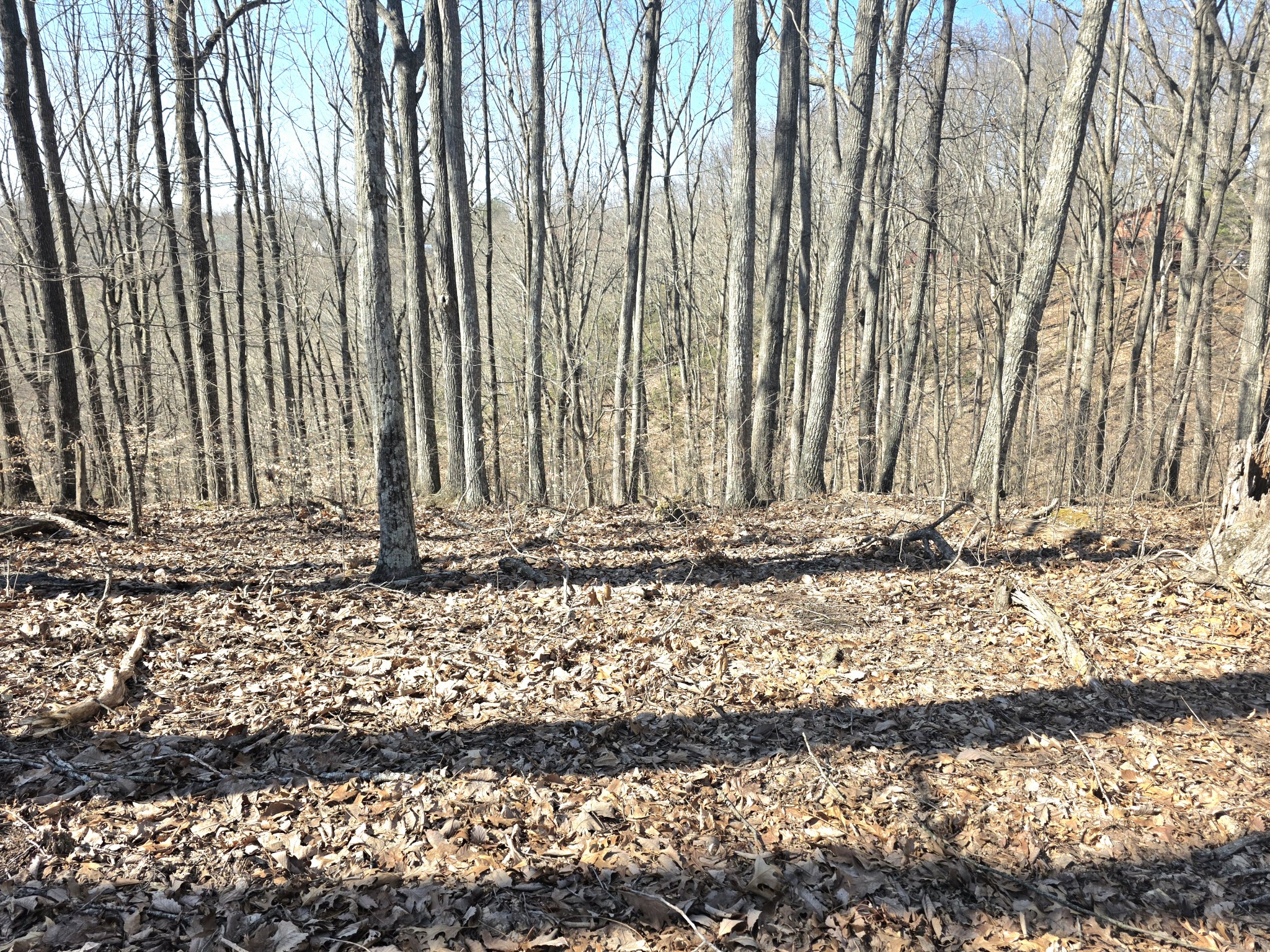 0 Windy Cut Dr Property Photo 2