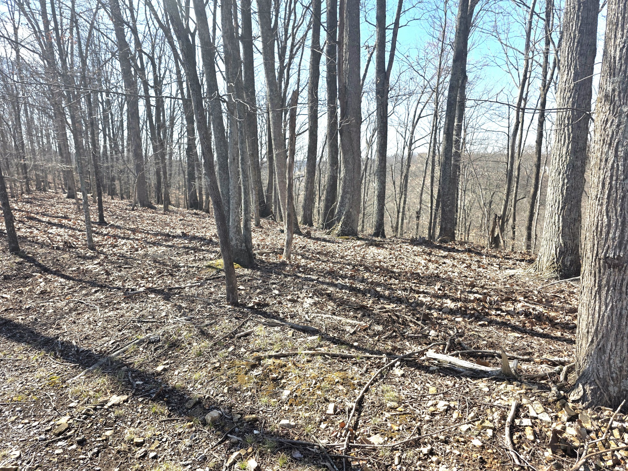 0 Windy Cut Dr Property Photo 5