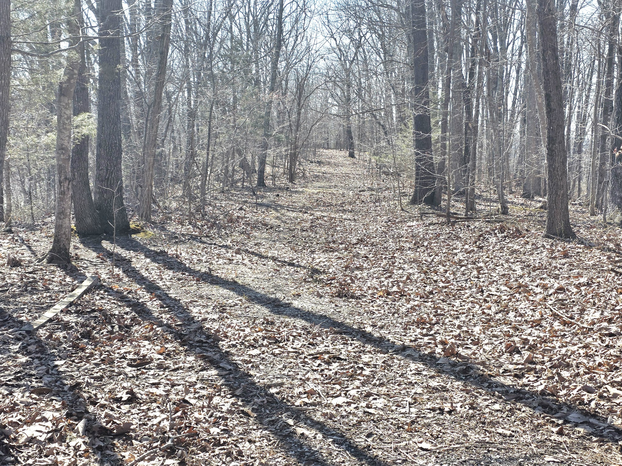 0 Windy Cut Dr Property Photo 6