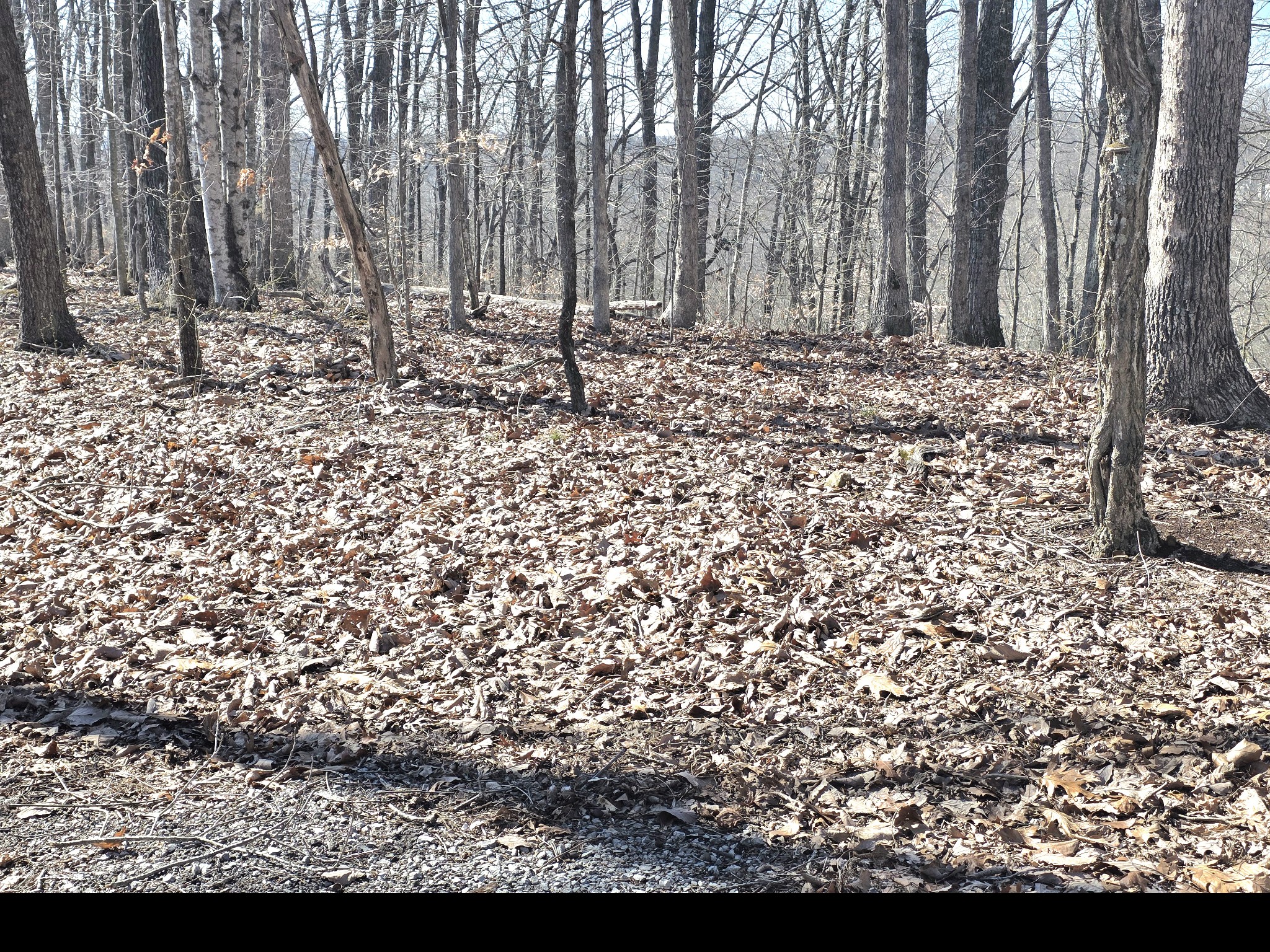 0 Windy Cut Dr Property Photo 7