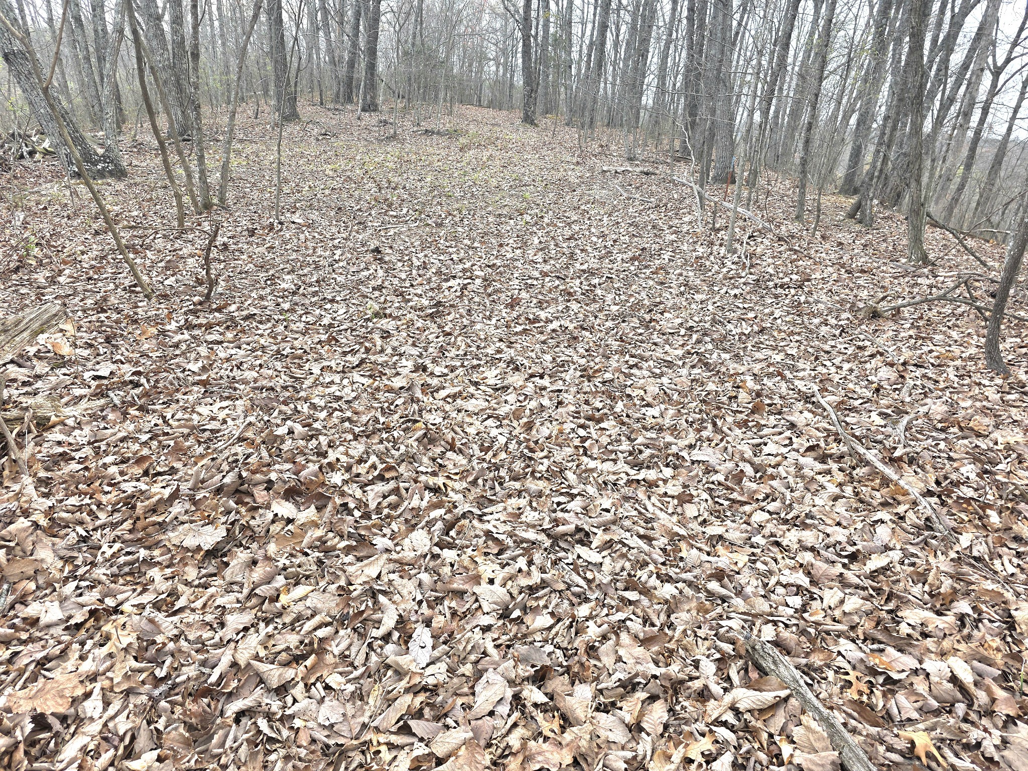 0 Windy Cut Dr Property Photo 8