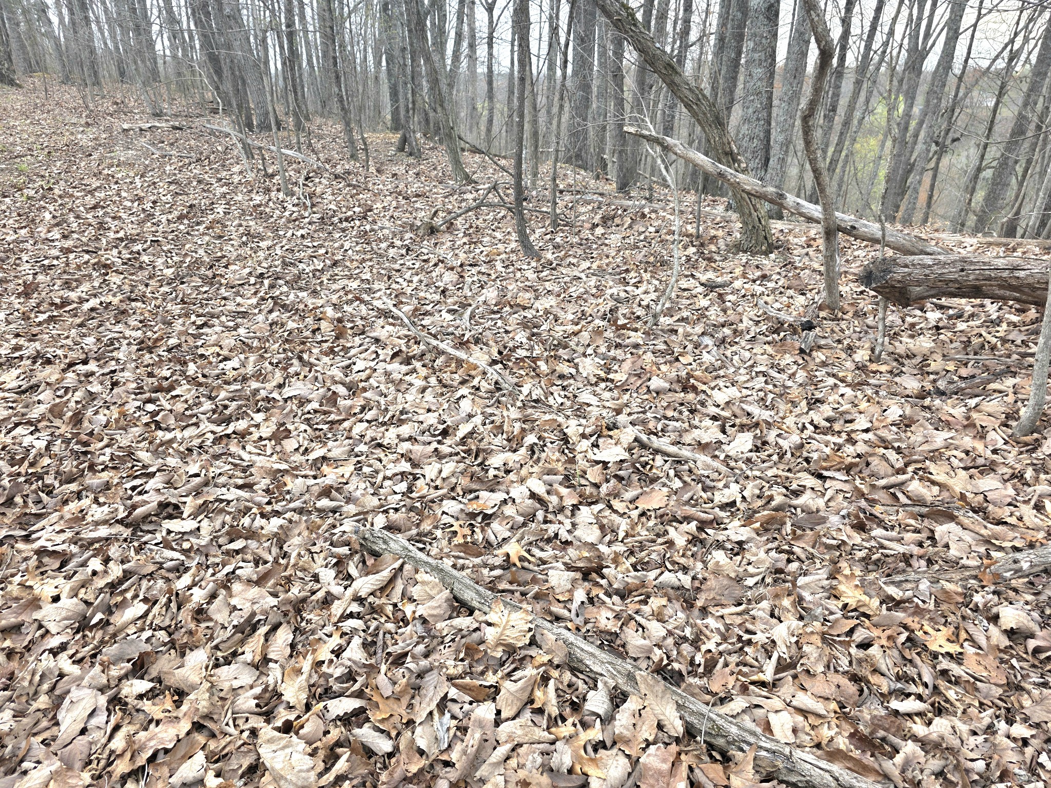 0 Windy Cut Dr Property Photo 9