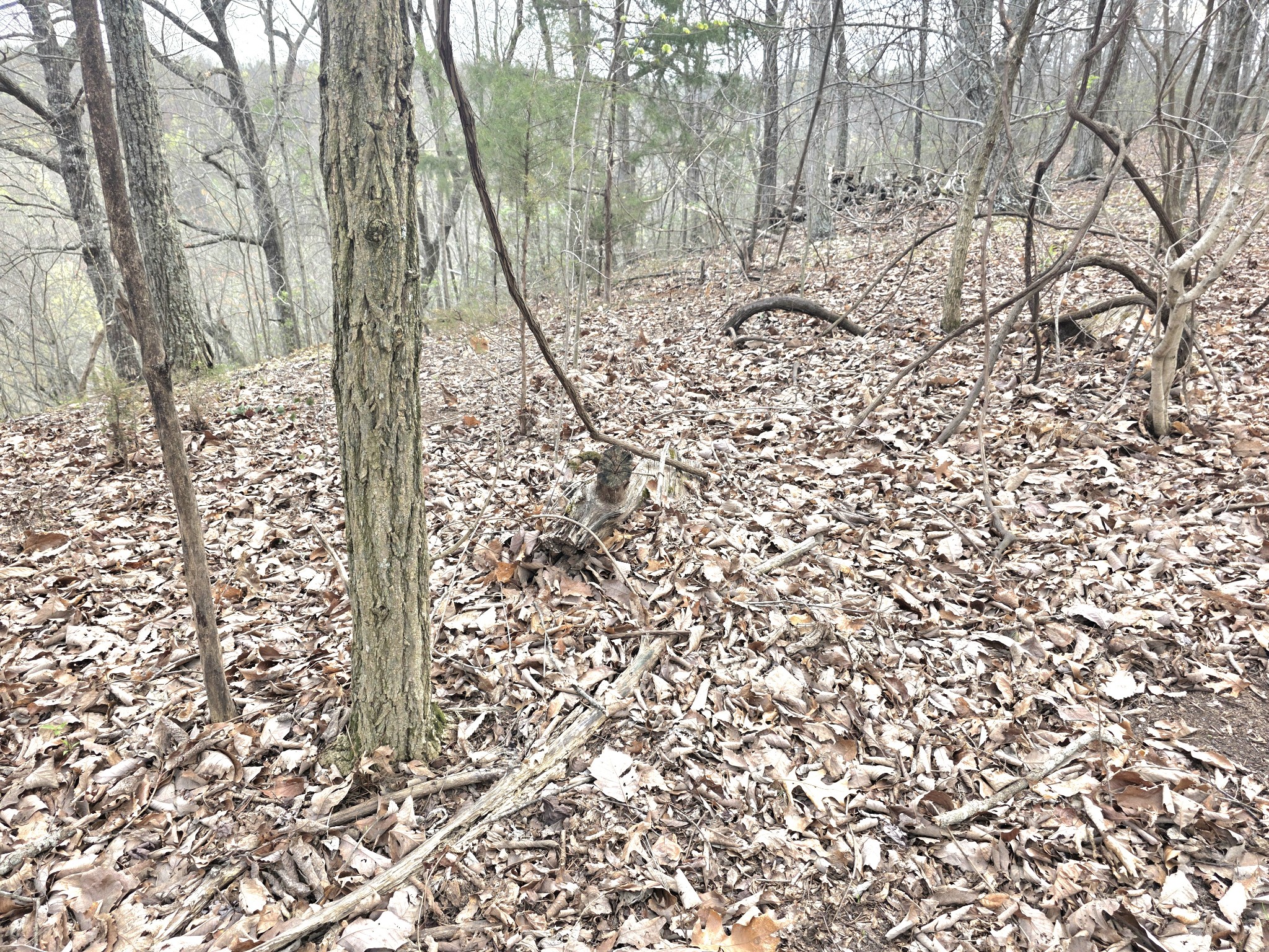 0 Windy Cut Dr Property Photo 10