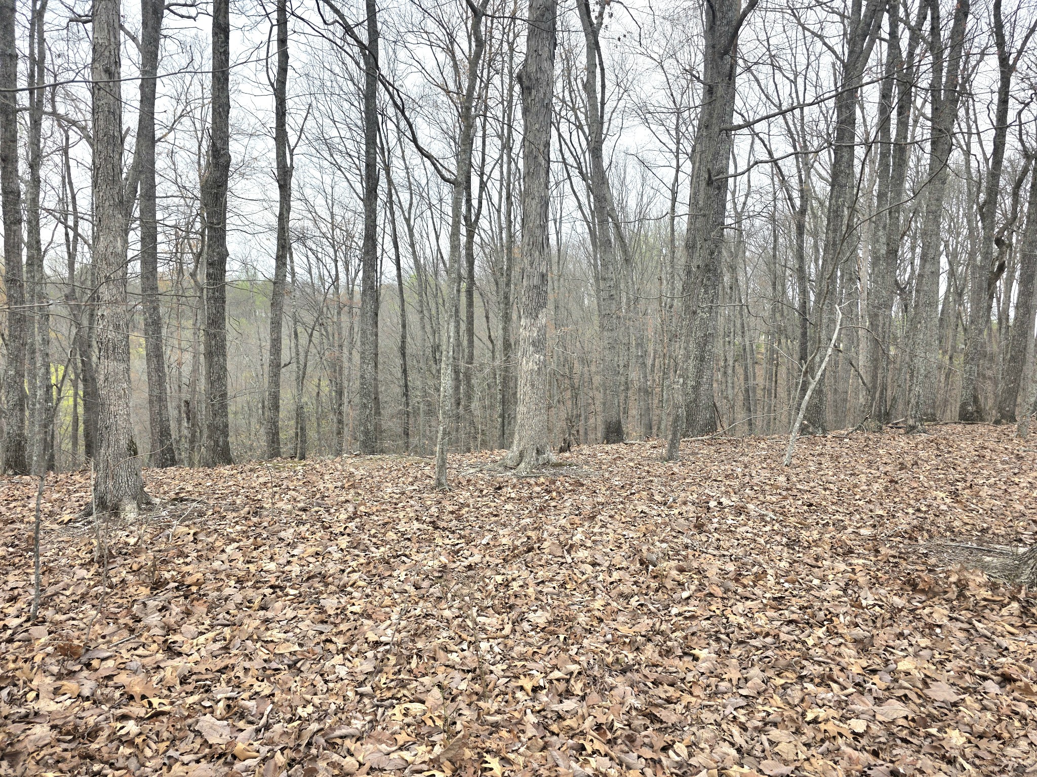 0 Windy Cut Dr Property Photo 11