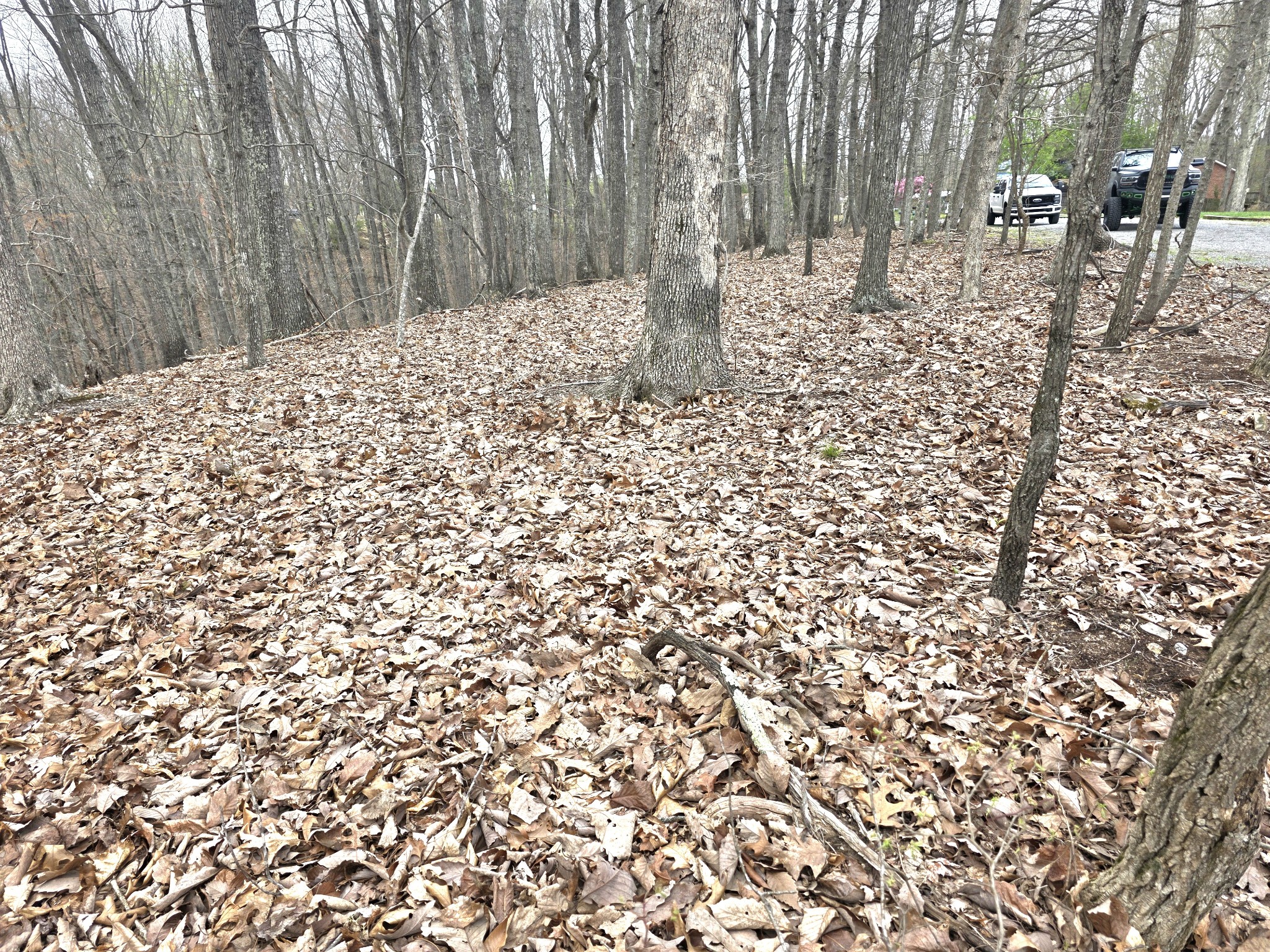 0 Windy Cut Dr Property Photo 12