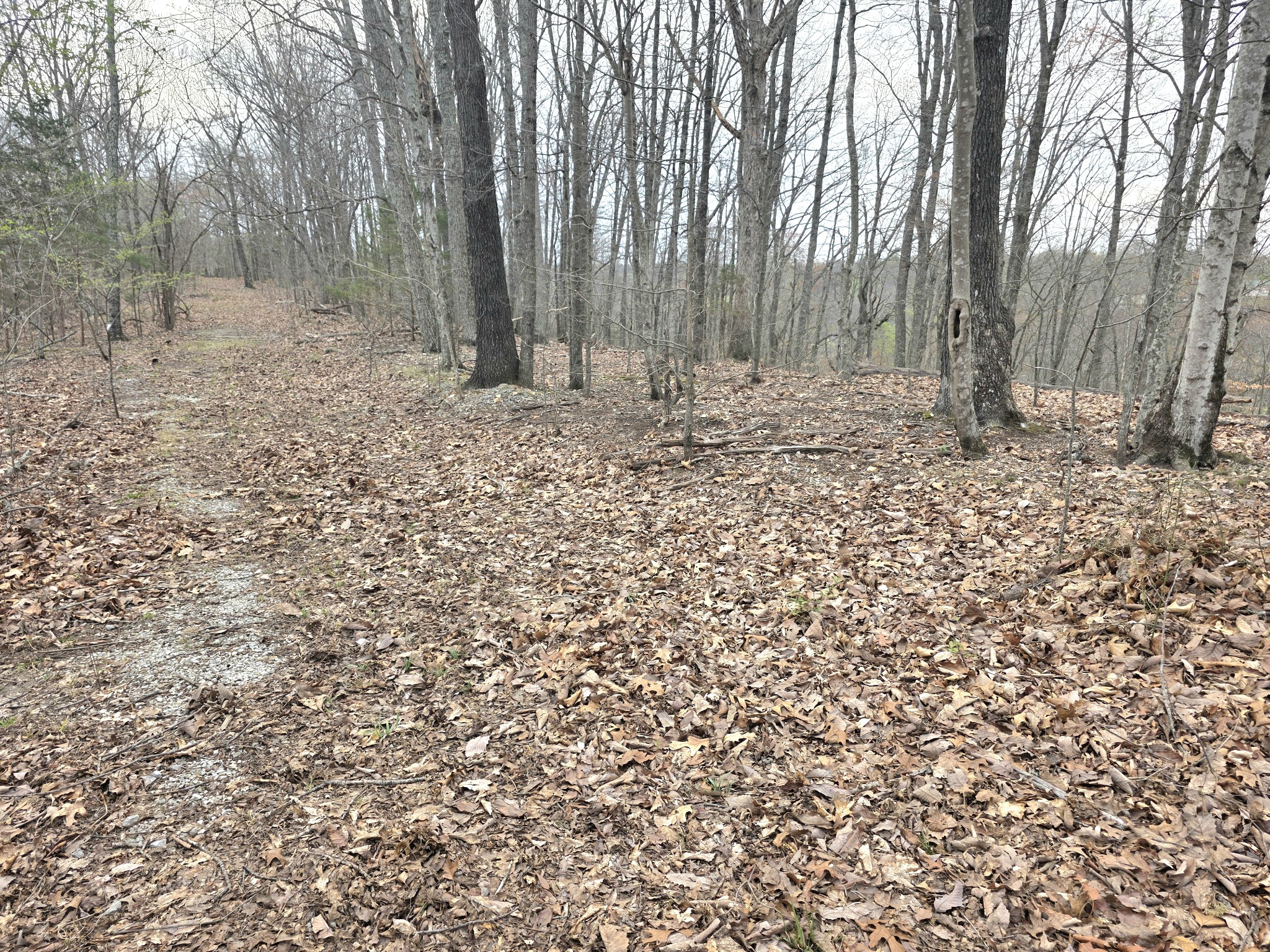 0 Windy Cut Dr Property Photo 13