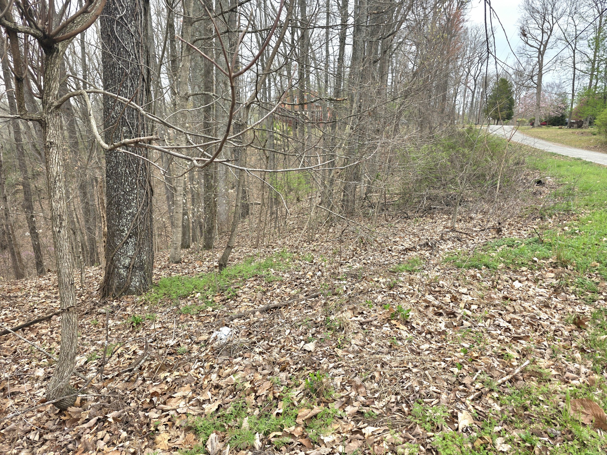 0 Windy Cut Dr Property Photo 15