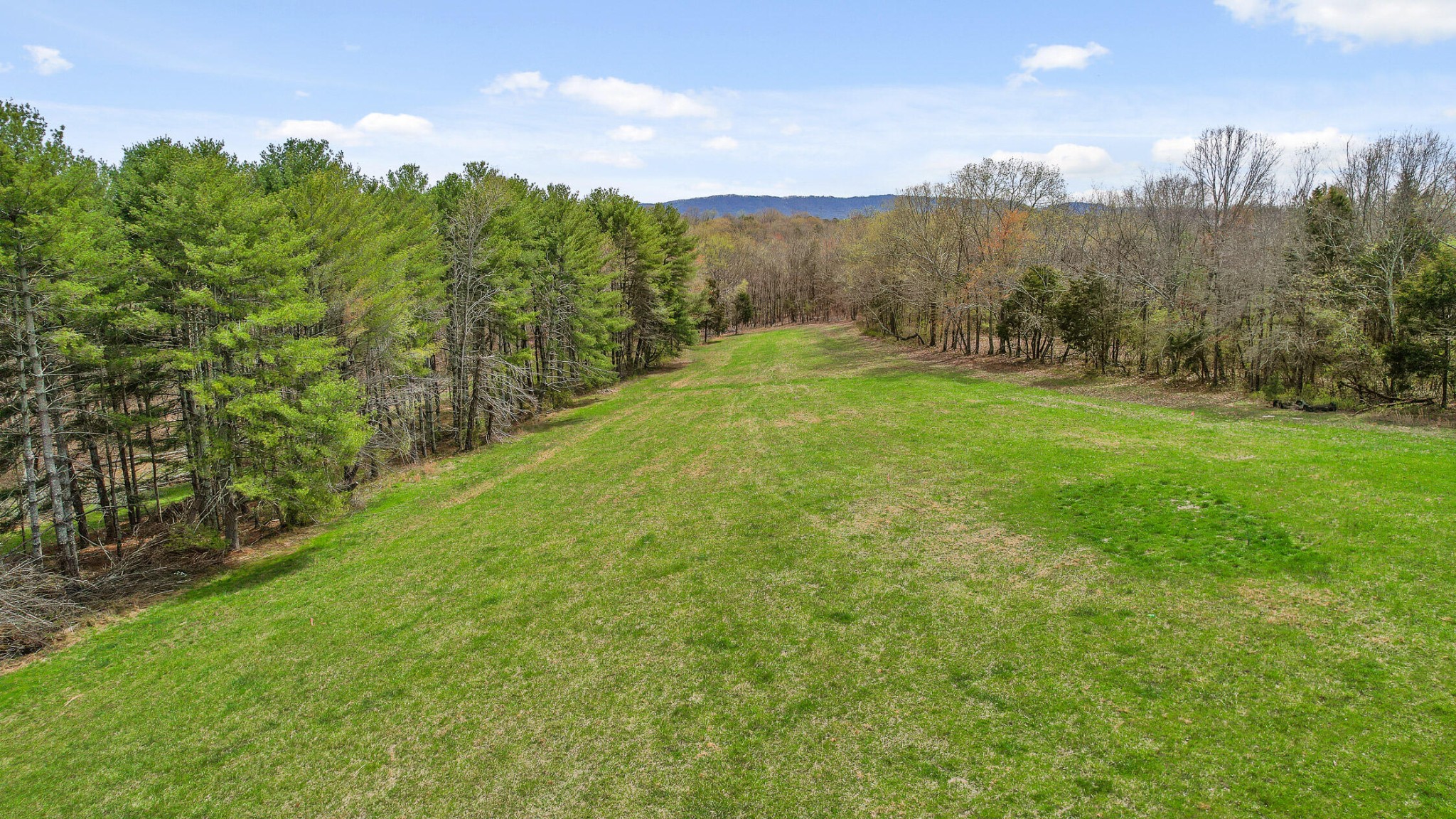 9680 Birchwood Pike Property Photo