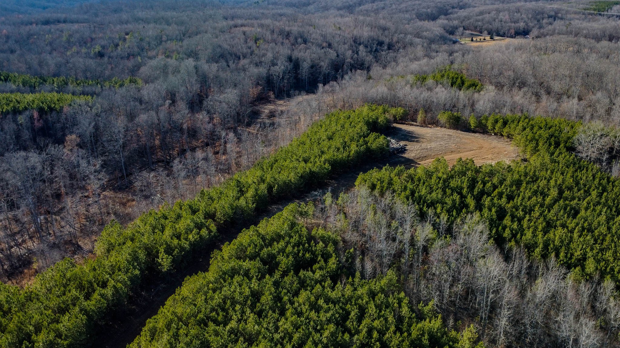 0 Hurricane Creek Road Property Photo