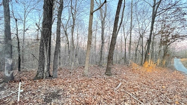 0 East Dogwood Rd Property Photo