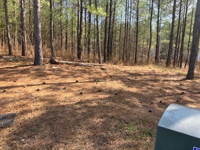 3965 Crockett Point Property Photo 3