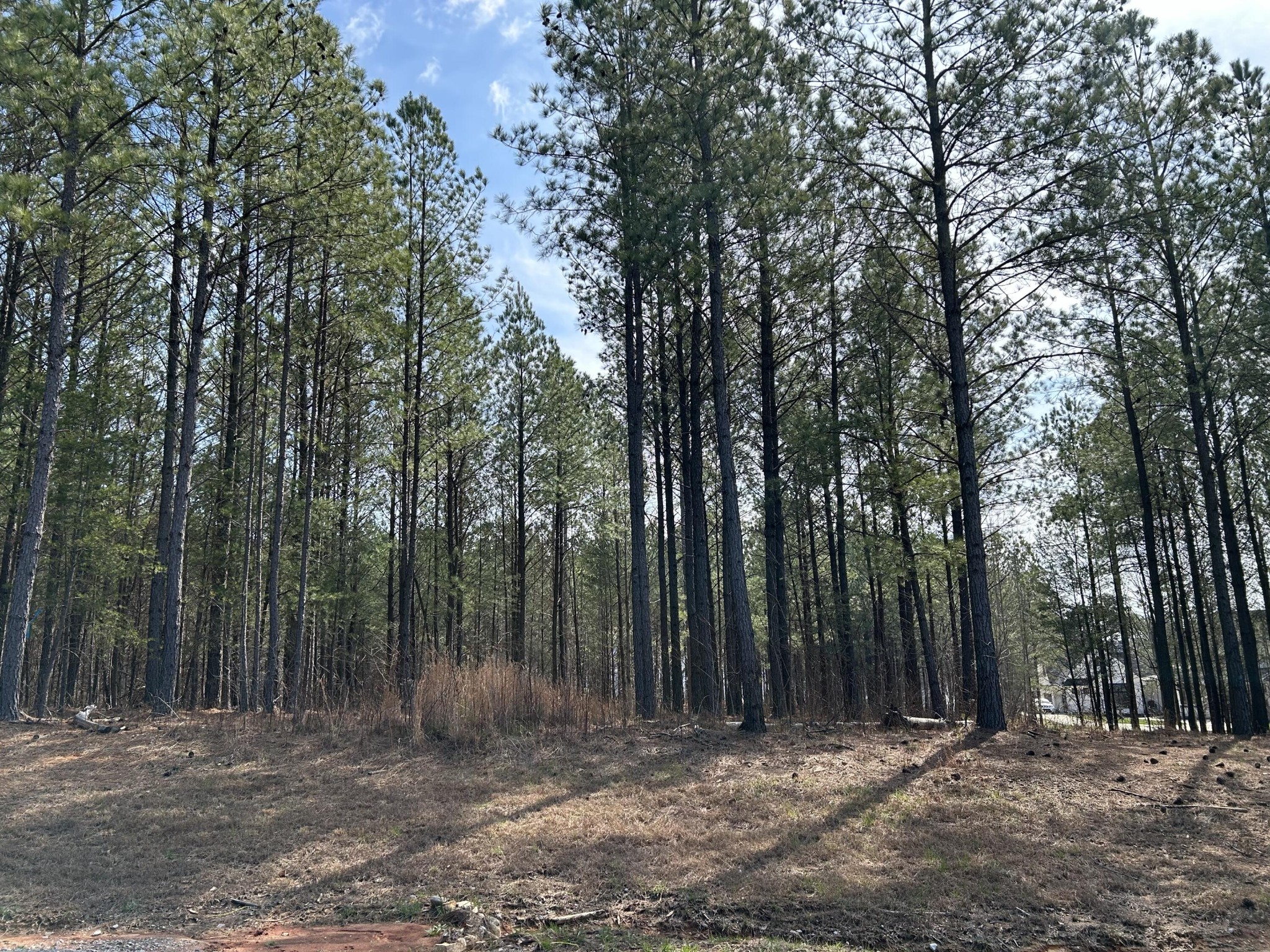 3965 Crockett Point Property Photo 4