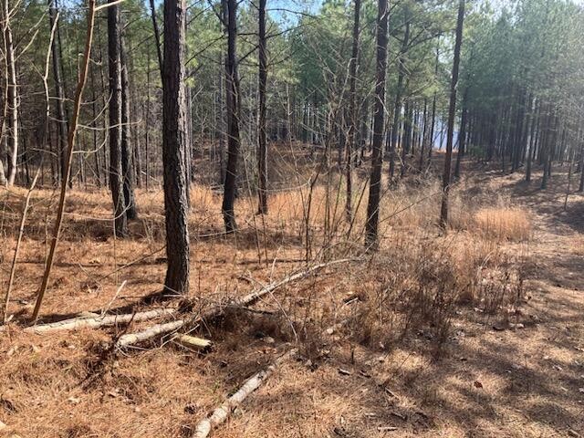 3965 Crockett Point Property Photo 6