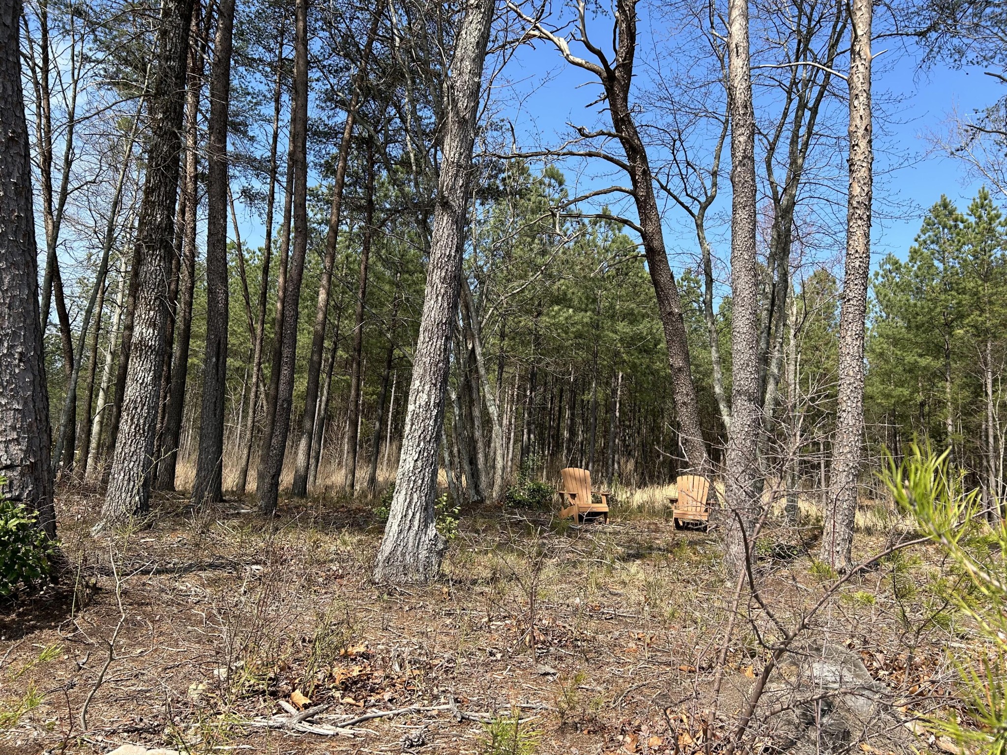 3965 Crockett Point Property Photo 15
