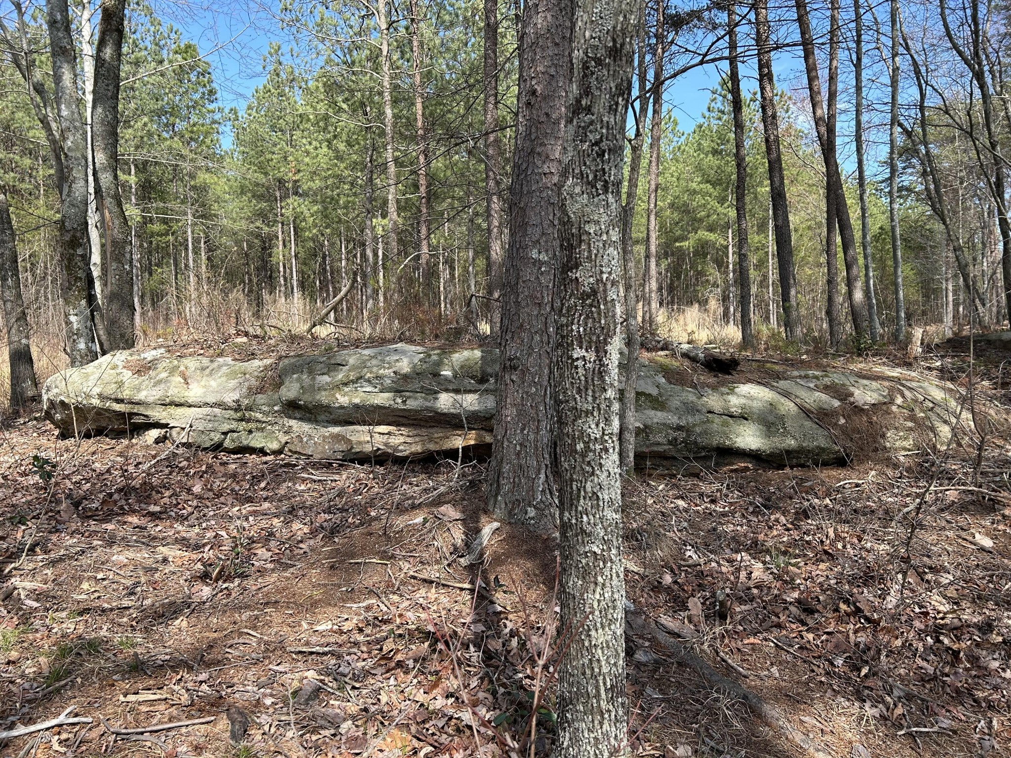 3965 Crockett Point Property Photo 17