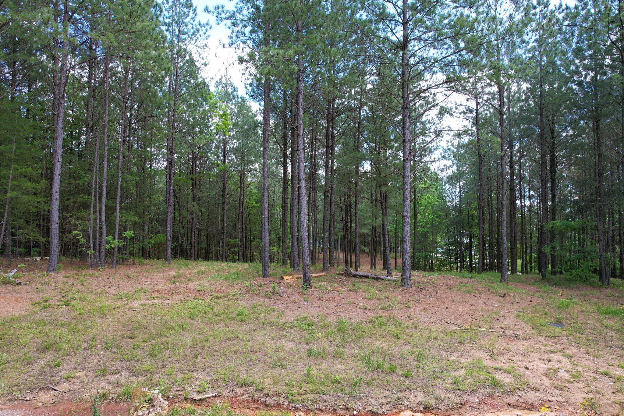 3965 Crockett Point Property Photo 46