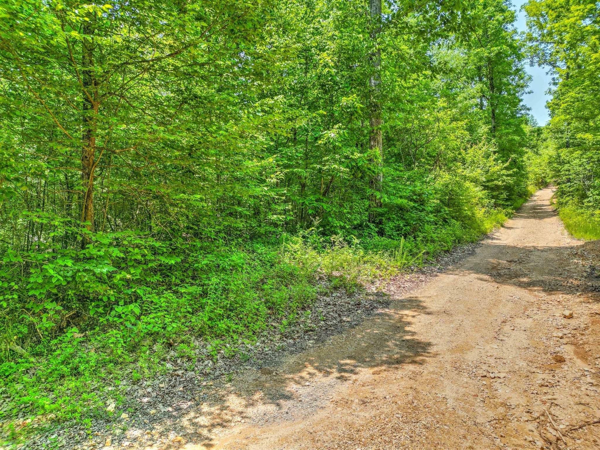 43 Ridgetop Rd Property Photo