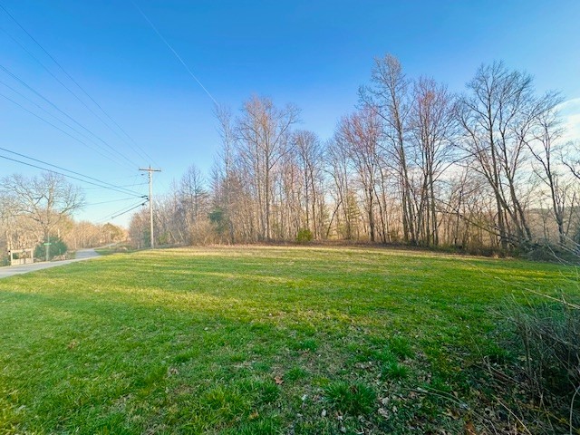 260 Vine Ridge Rd Property Photo 4
