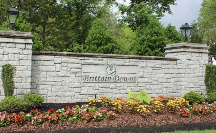 1005 Brittain Downs Dr Property Photo 45