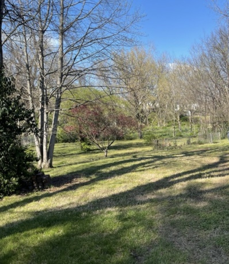 1007 Petway Ave, Ne Property Photo 26