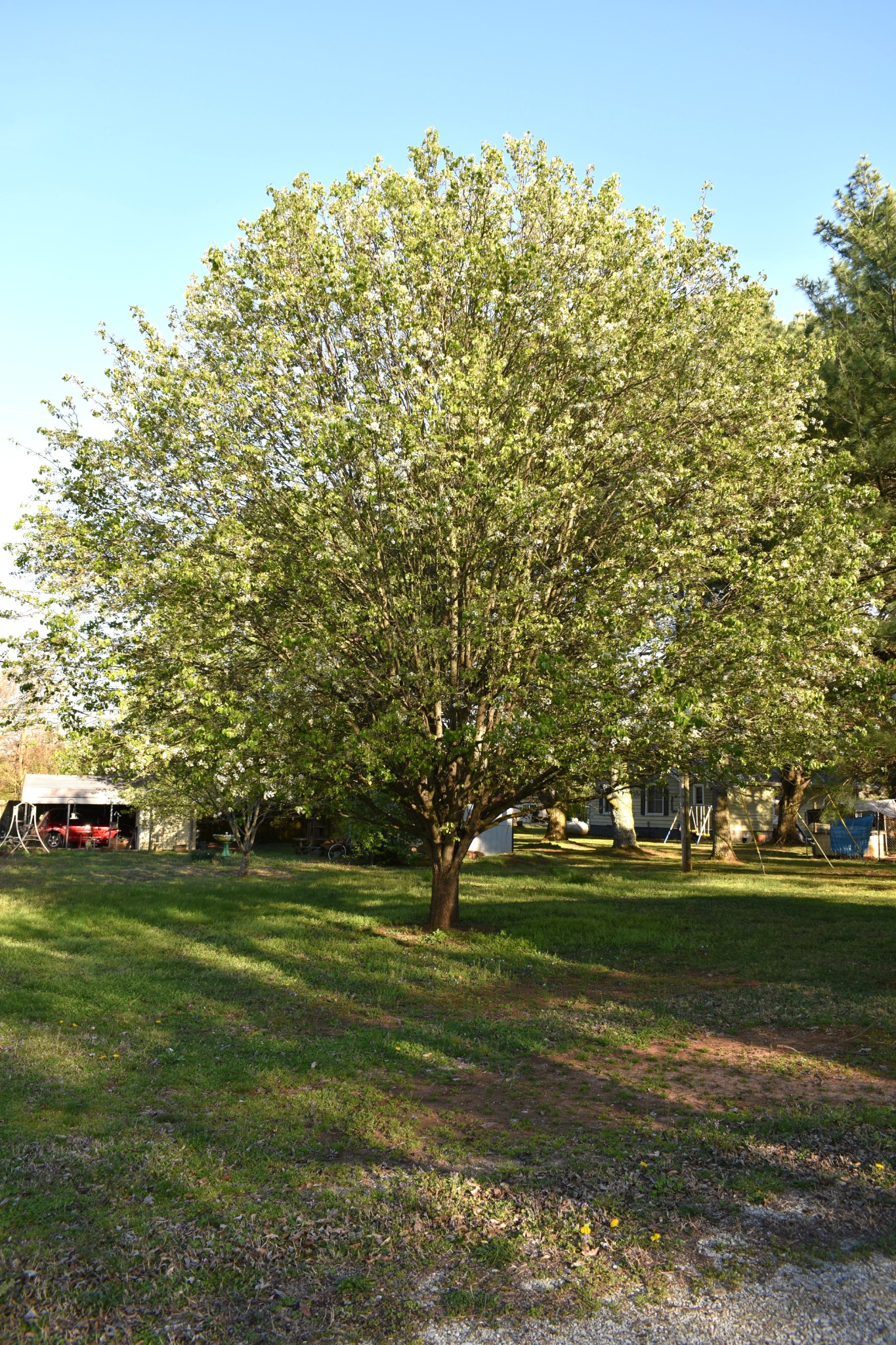 43 Flint Dr Property Photo 5