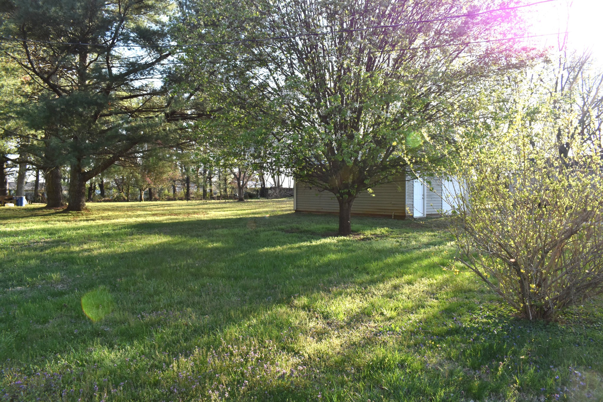 43 Flint Dr Property Photo 10