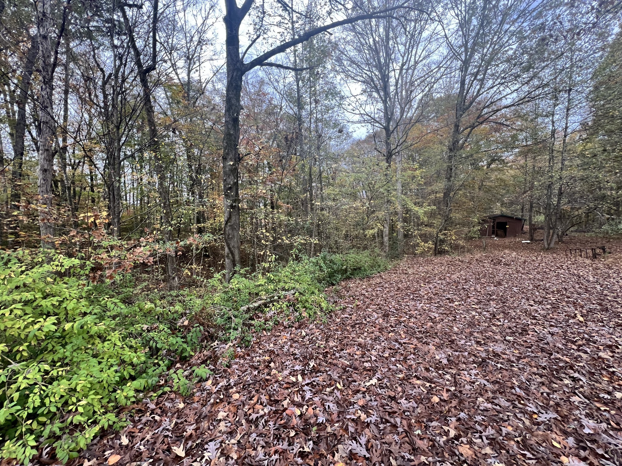 1509 Highway 49, E Property Photo 1