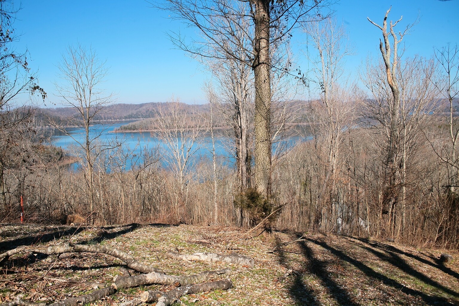 409 Maury Lane Property Photo 1