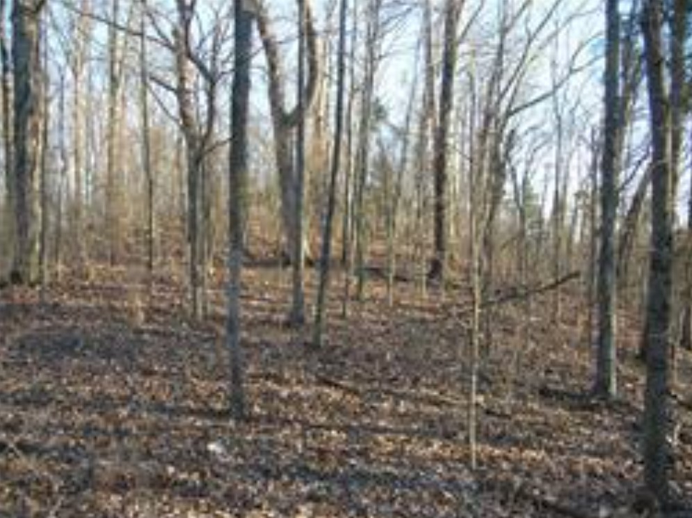 480 Old Hickory Blvd Property Photo 16