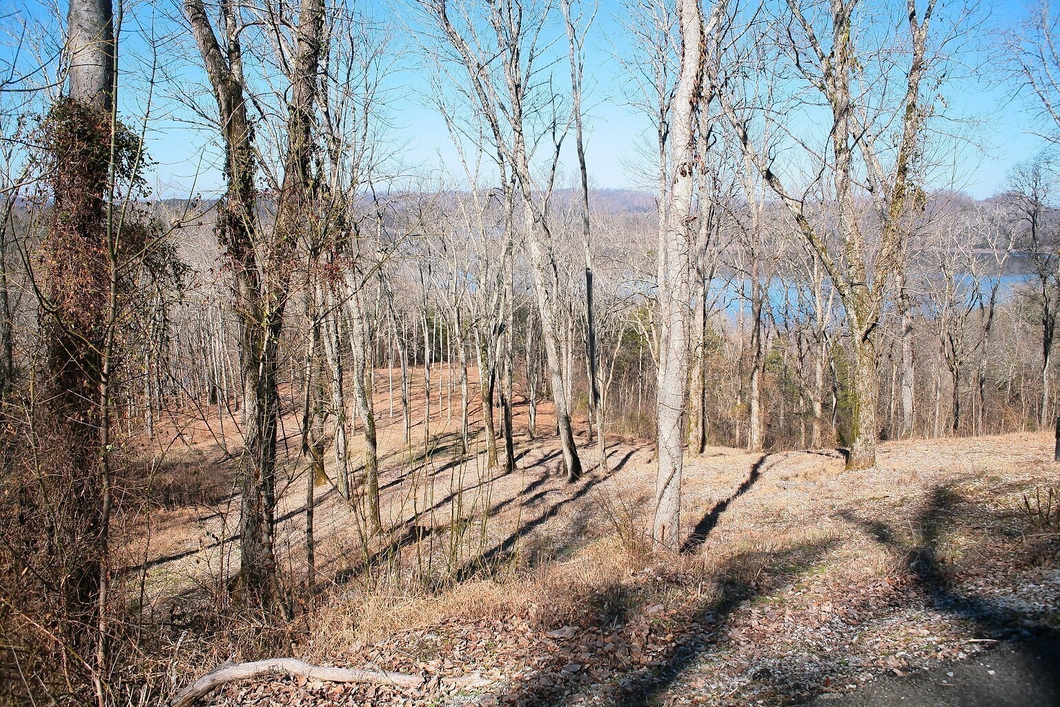 190 Wilson Circle Property Photo 3