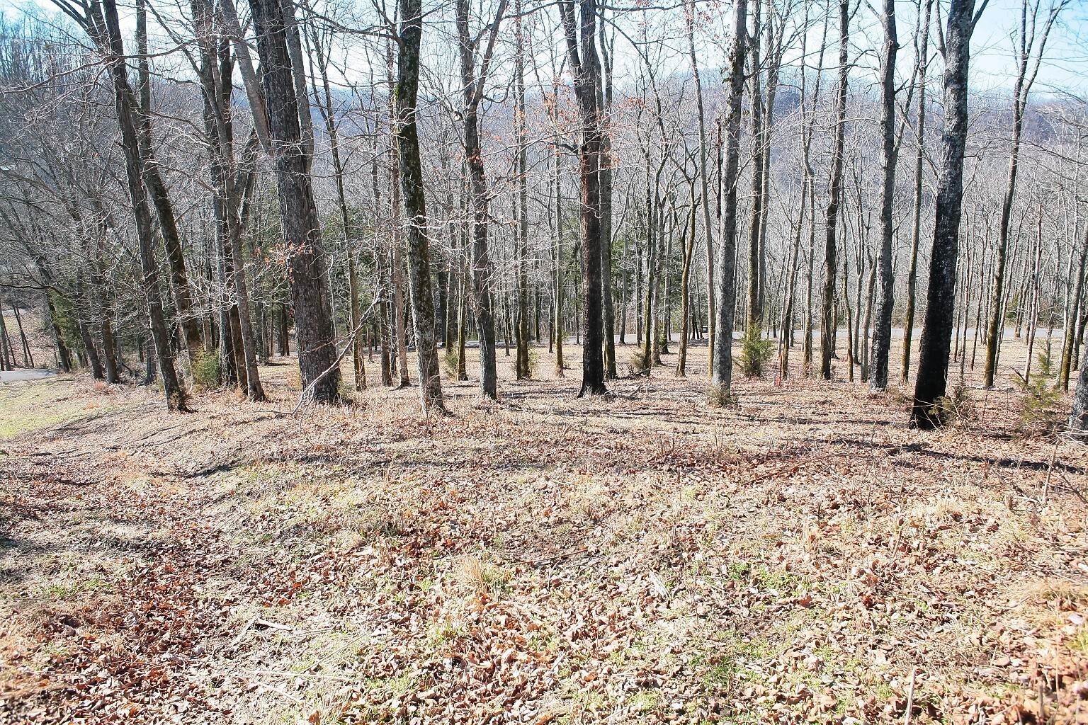 190 Wilson Circle Property Photo 6