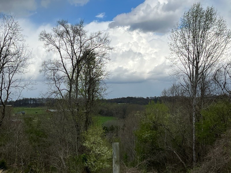 3625 Highway 13 Property Photo 3