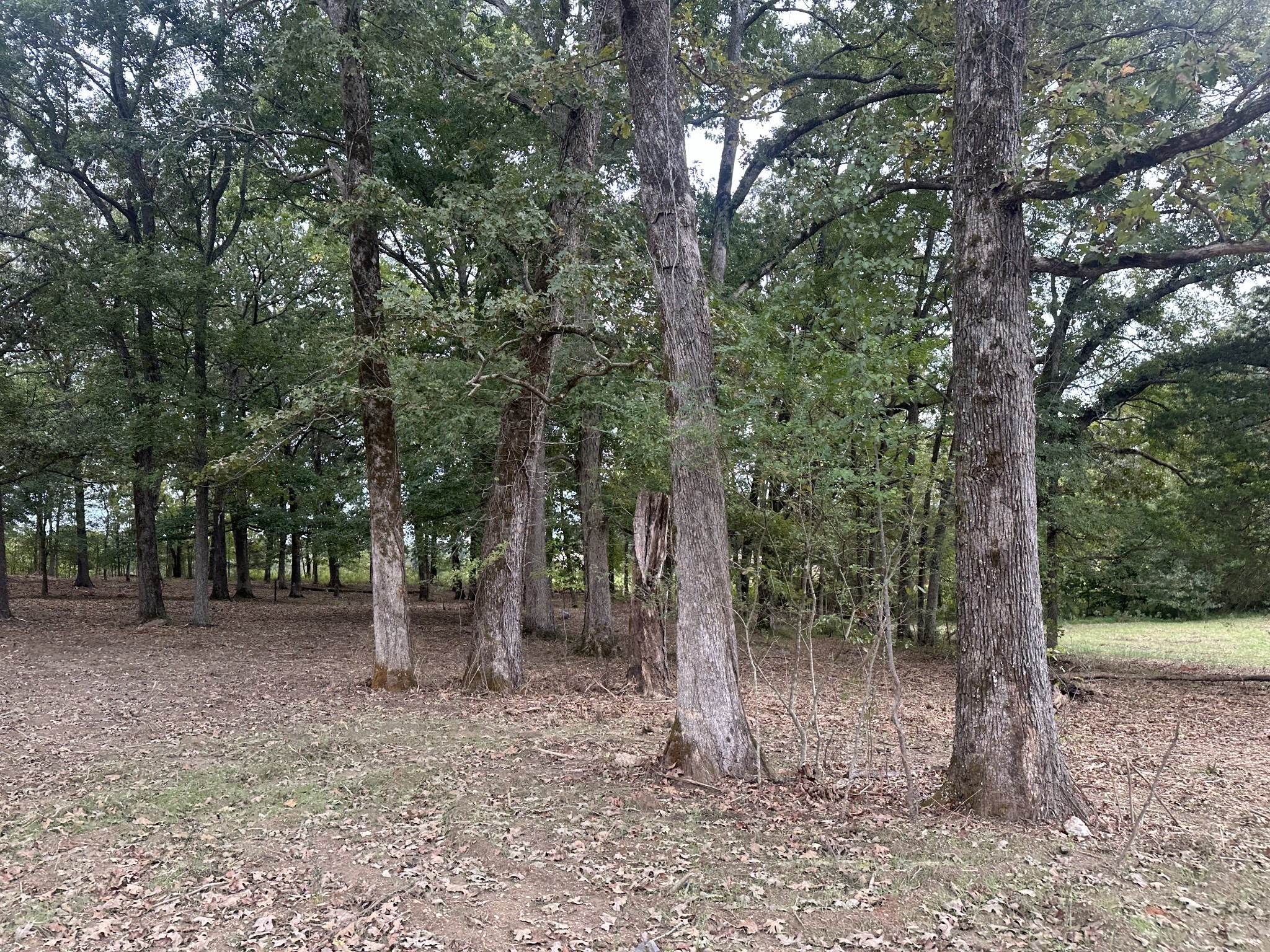 14+ Acres Real Estate Listings Main Image