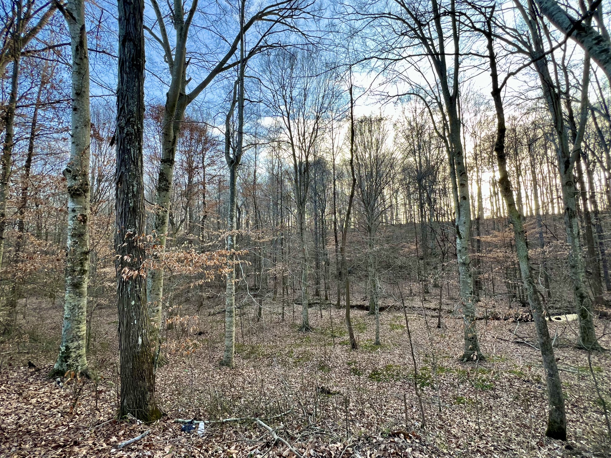 0 Idaho Rd Property Photo 10