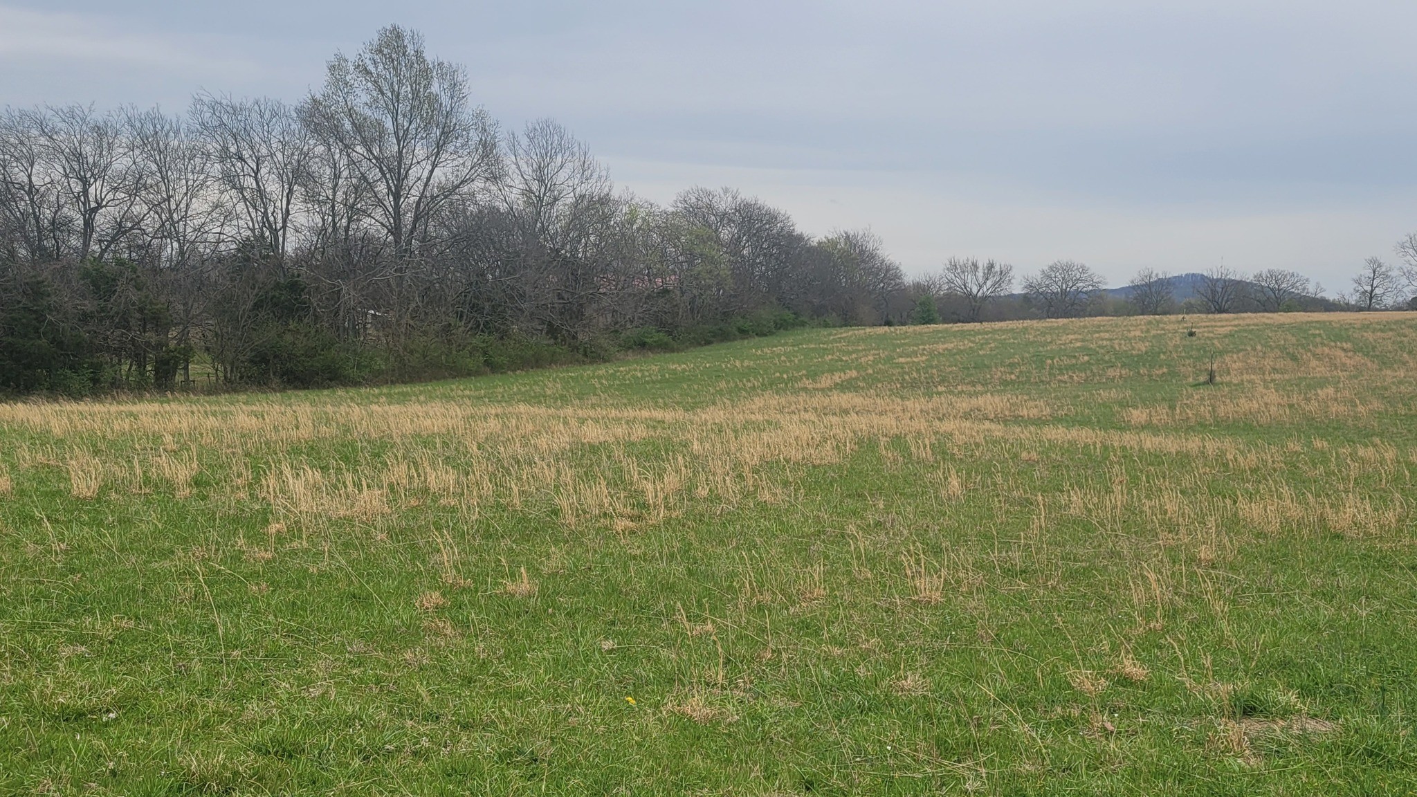 2a Old Nashville Dirt Rd Property Photo