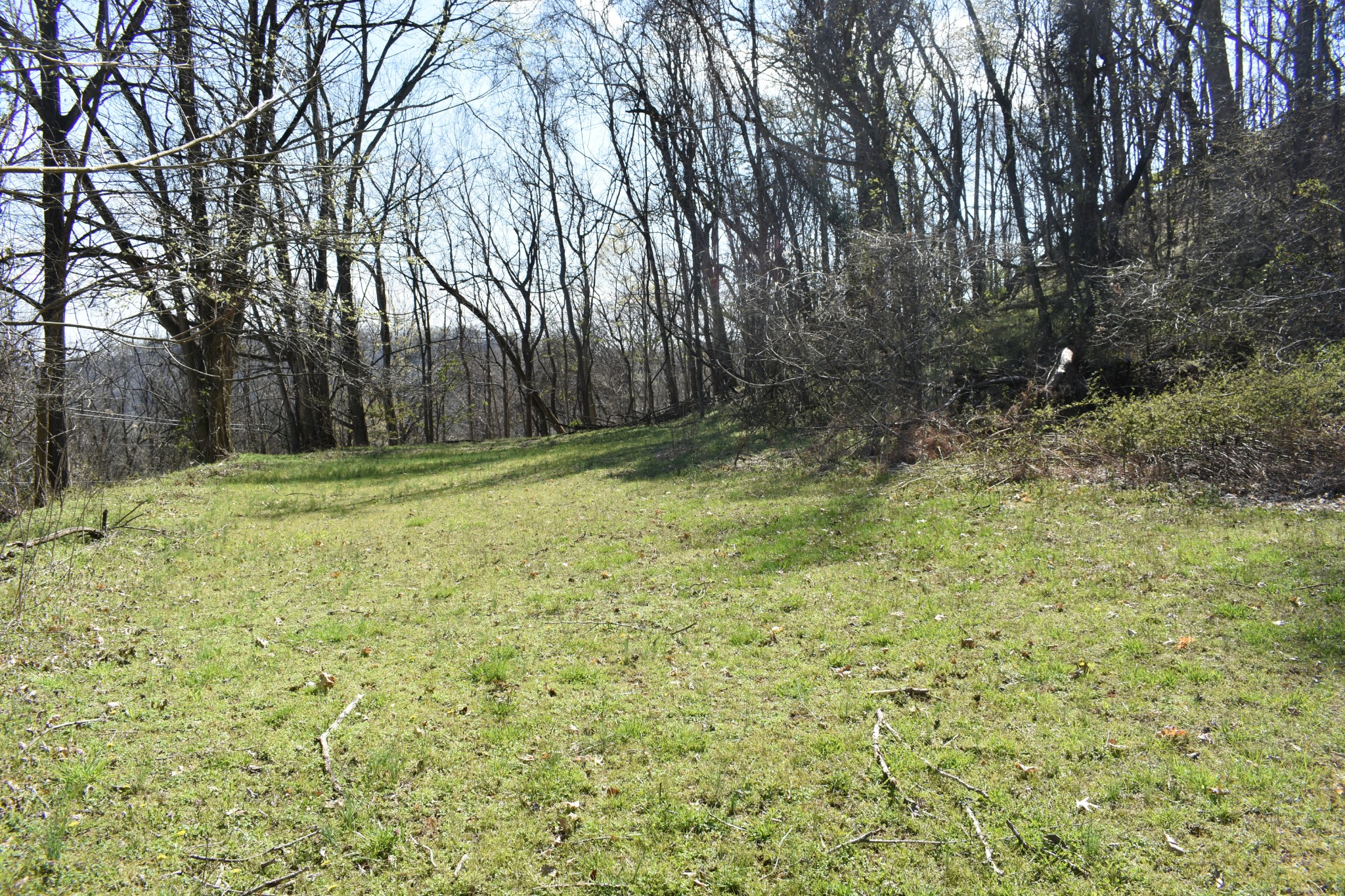 0 Turkey Creek Hwy Property Photo