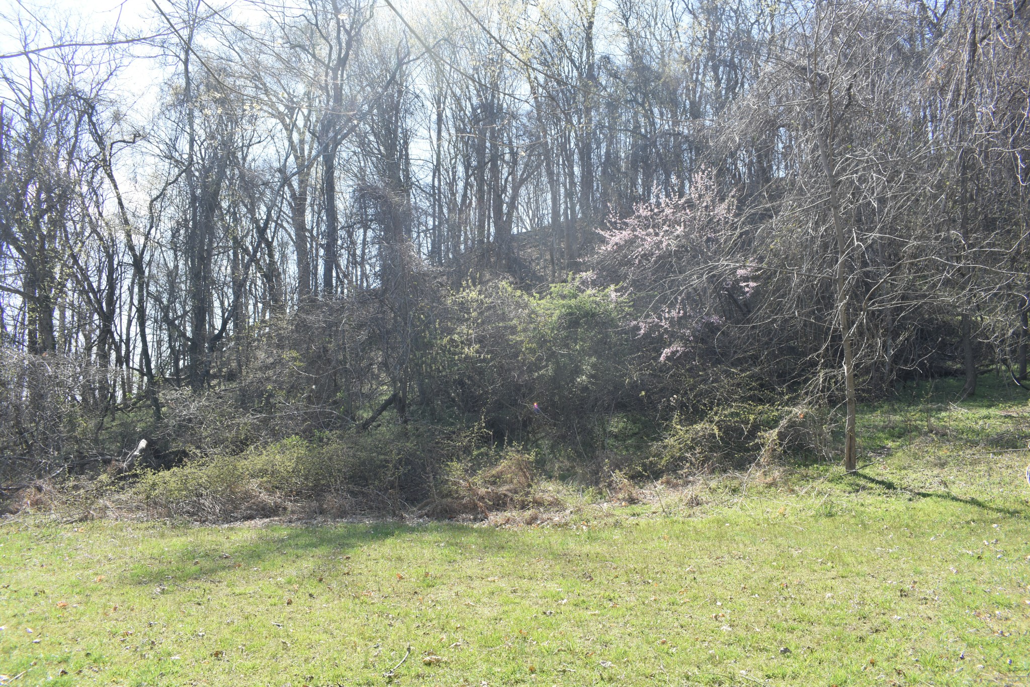0 Turkey Creek Hwy Property Photo 2