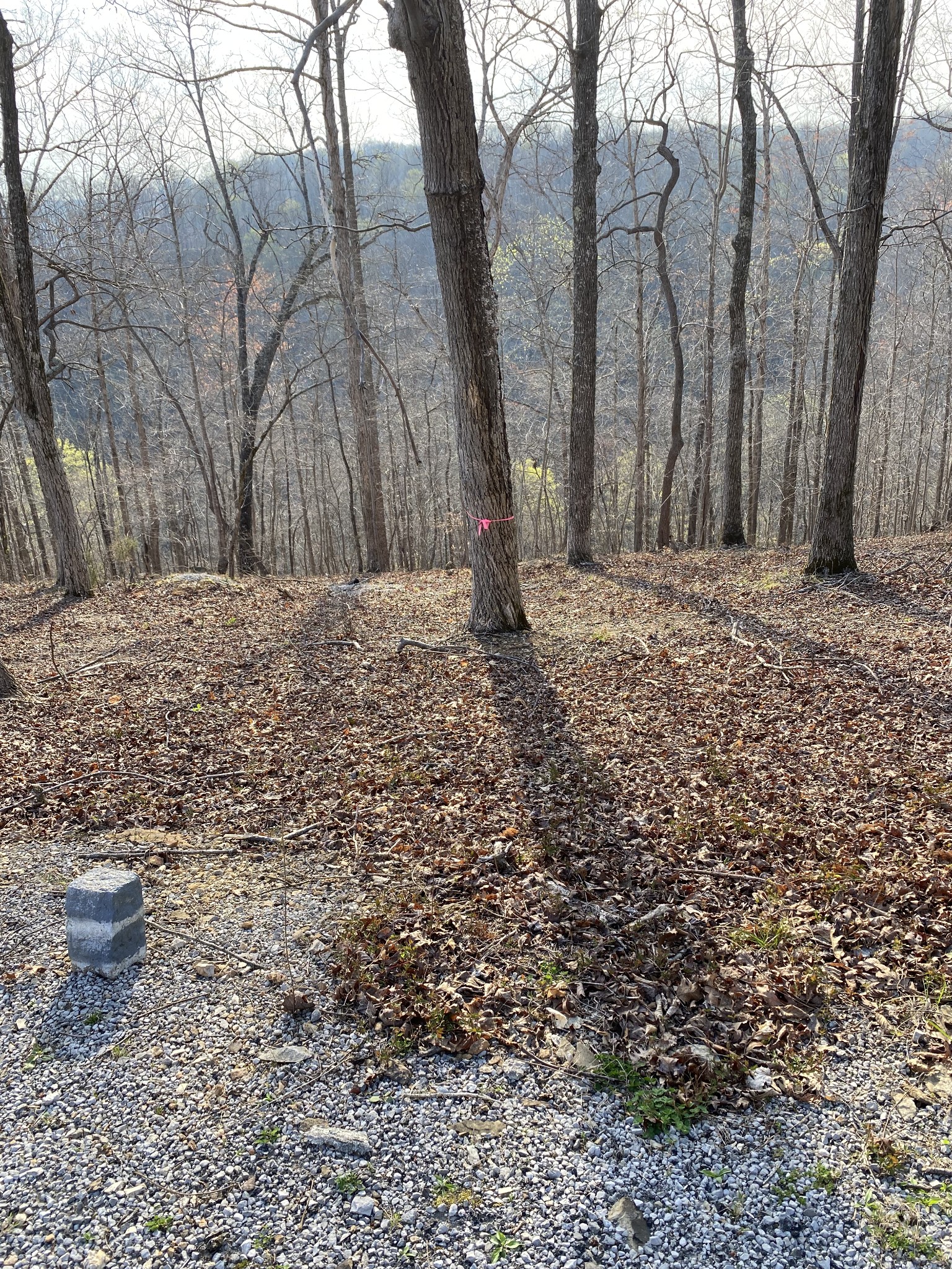 0 Harbor Green Pl Property Photo 5