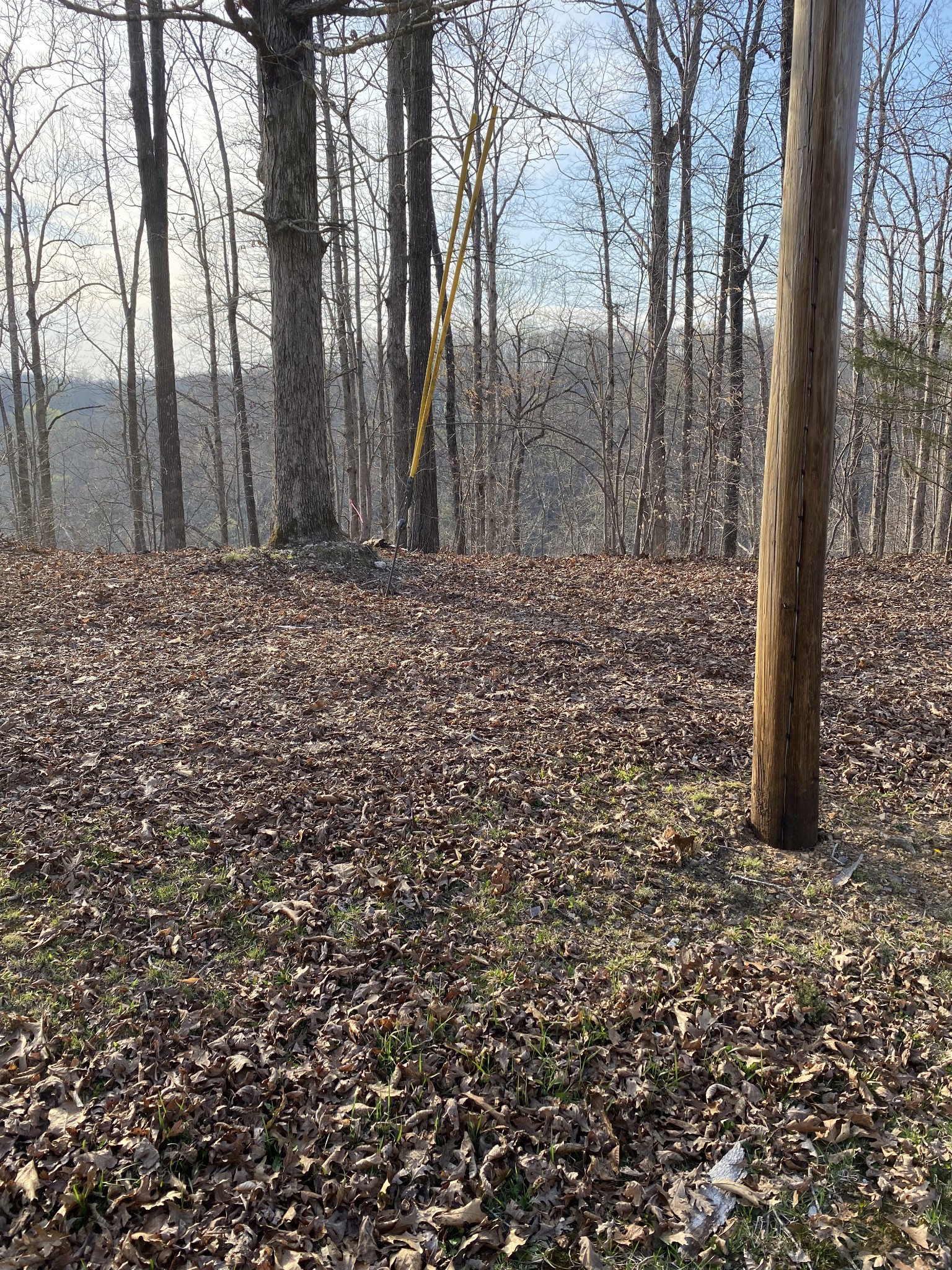 0 Harbor Green Pl Property Photo 6